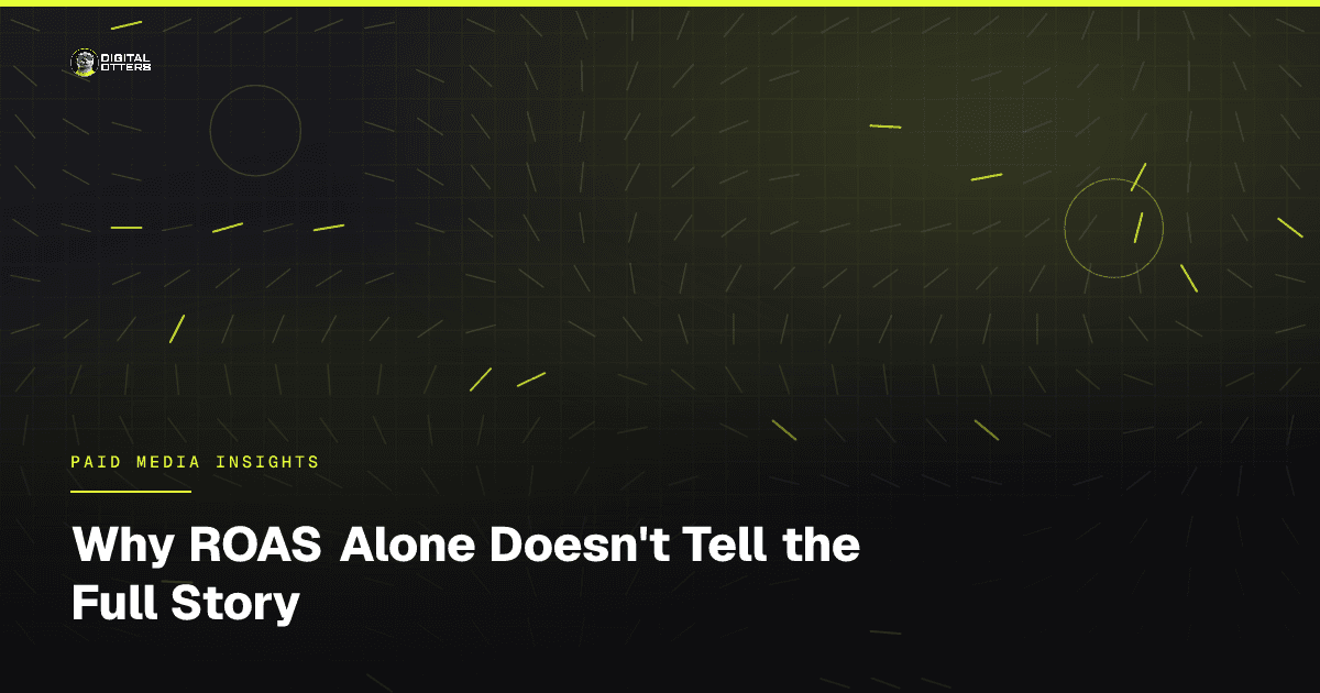 Why ROAS Alone Doesn't Tell the Full Story - Digital Otters