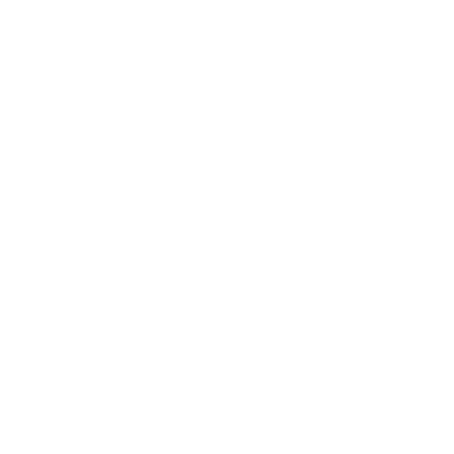 digital otters instagram