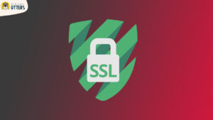 SSL - Secure Sockets Layer